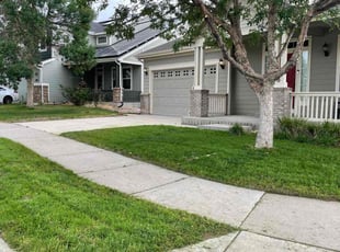 Ryan R.'s turf care service result