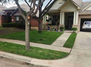 Shannon B.'s lawn care services service result