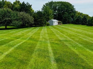 Julie R.'s lawn care services service result