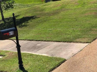 Tawanna B.'s grass cutting service result