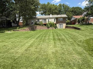 Joyce B.'s lawn care service result