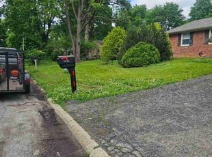 Rae D.'s turf maintenance service result