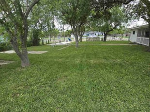 Ellen W.'s lawn service service result