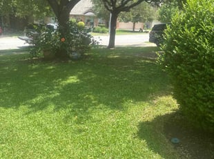 Julie D.'s lawn care service result
