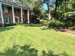 ReNe’e T.'s grass cutting service result
