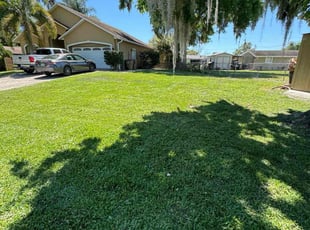 Randi M.'s turf care service result