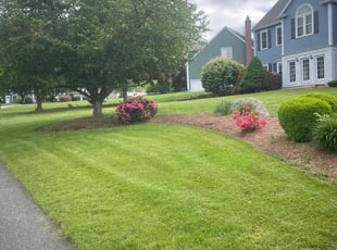 Sheree K.'s lawn service service result
