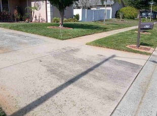 Randy B.'s lawn care service result