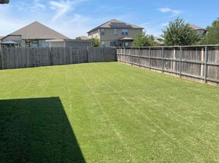 James D.'s turf care service result