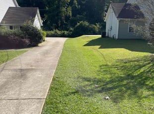Amelia F.'s grass cutting service result