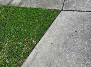 Jason L.'s lawn care service result