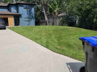Alicia S.'s turf care service result