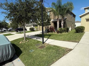 Javier P.'s turf care service result