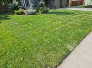 Samantha C.'s lawn care service result