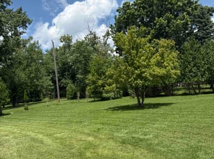 Michelle J.'s landscaping service result