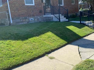 Laura W.'s turf maintenance service result