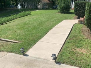 Ty L.'s lawn service service result
