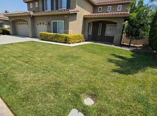 Jorge R.'s grass maintenance service result