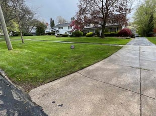 Joseph M.'s grass cutting service result