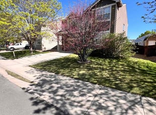 Maya W.'s grass maintenance service result