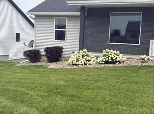 Randy M.'s lawn care service result