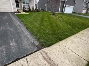 Scott O.'s turf care service result