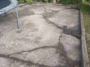 Stacey A.'s Leaf Removal service result