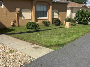 Dan F.'s grass maintenance service result