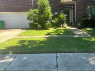 Alan V.'s lawn service service result