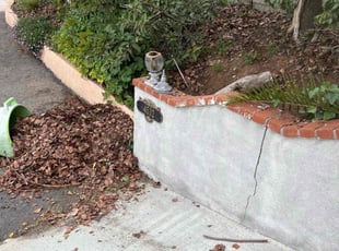 Eileen W.'s Leaf Removal service result