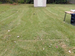 Jerry W.'s lawn care service result