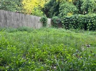 Linda W.'s lawn maintenance service result
