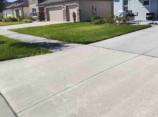 Diana H.'s grass maintenance service result
