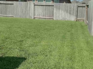 Renona P.'s turf maintenance service result