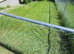 Michele B.'s lawn care service result
