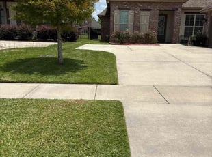 Michelle H.'s grass cutting service result