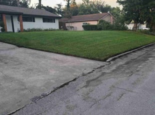 Jaye D.'s lawn care service result