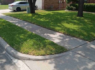 Amanda D.'s grass maintenance service result