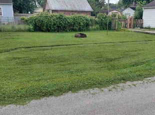 Dar B.'s lawn service service result