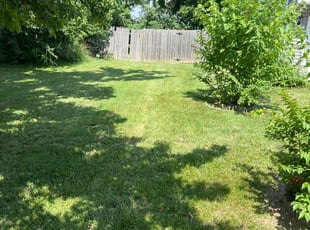 Jack M.'s turf care service result