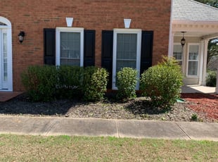 Scott E.'s Bush Trimming service result