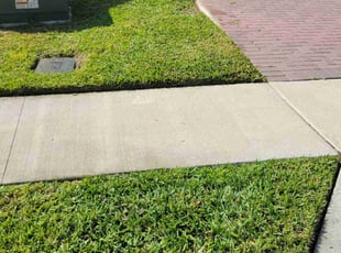 Severino D.'s lawn maintenance service result