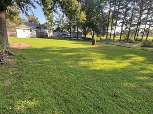 Mason M.'s turf care service result