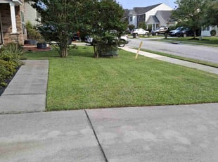 Lissa L.'s grass maintenance service result
