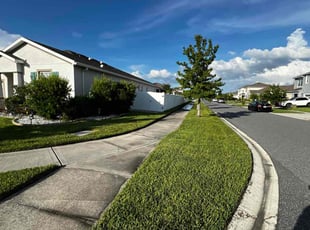Karyn K.'s turf care service result