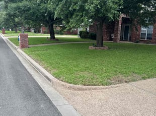 Tricia O.'s landscaping services service result