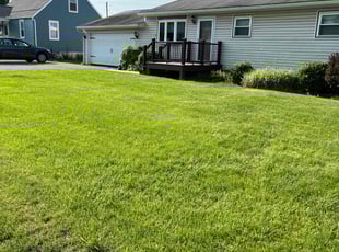 Jolecia M.'s lawn service service result