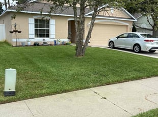 Jodi P.'s turf care service result
