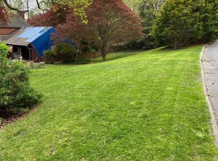 Madonna P.'s turf maintenance service result