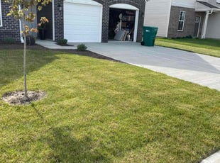 Andrew F.'s yard care service result